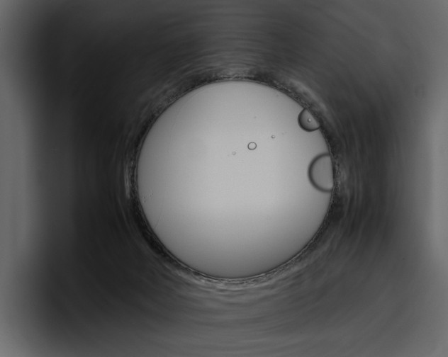 X0000097480026200802220829