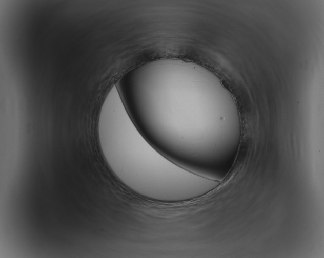 X0000097480029200802220829