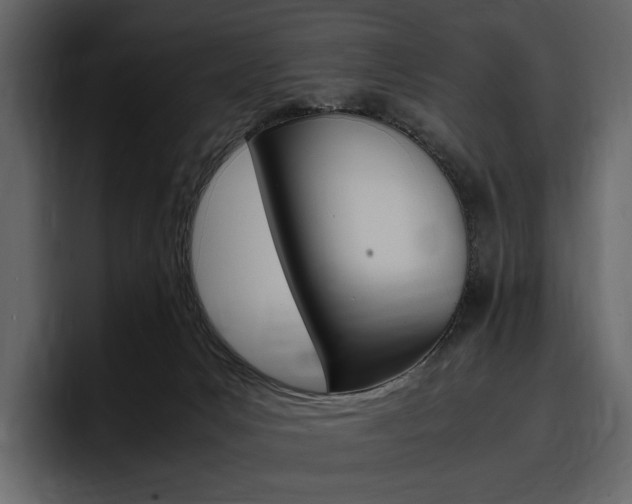 X0000097480031200802220829