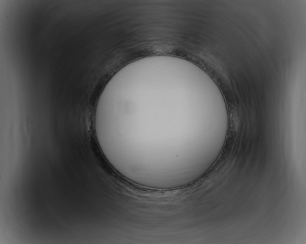 X0000097480032200802220829