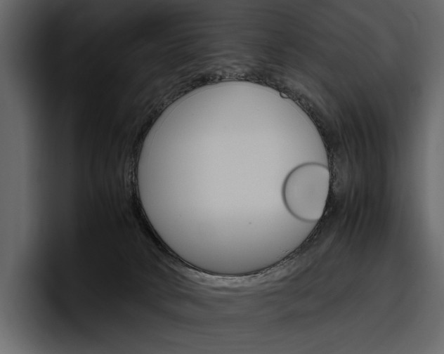 X0000097480034200802220829