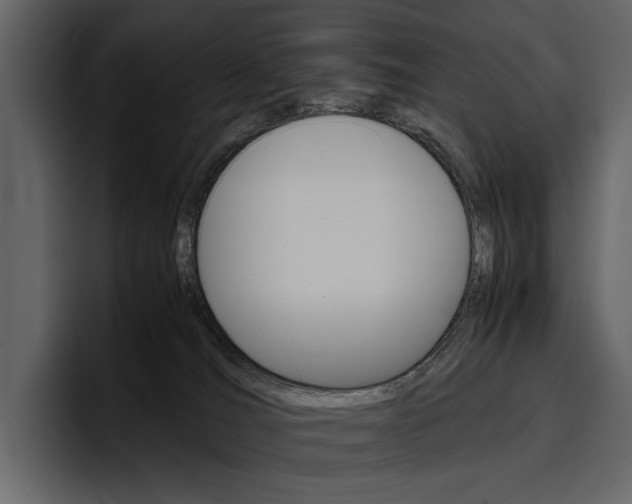 X0000097480036200802220829