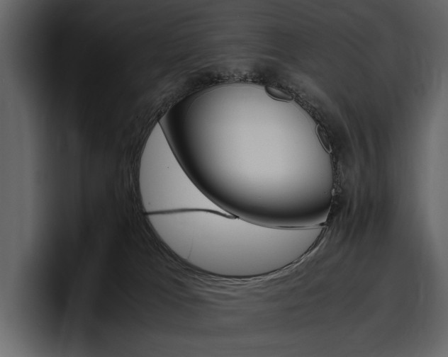 X0000097480037200802220829