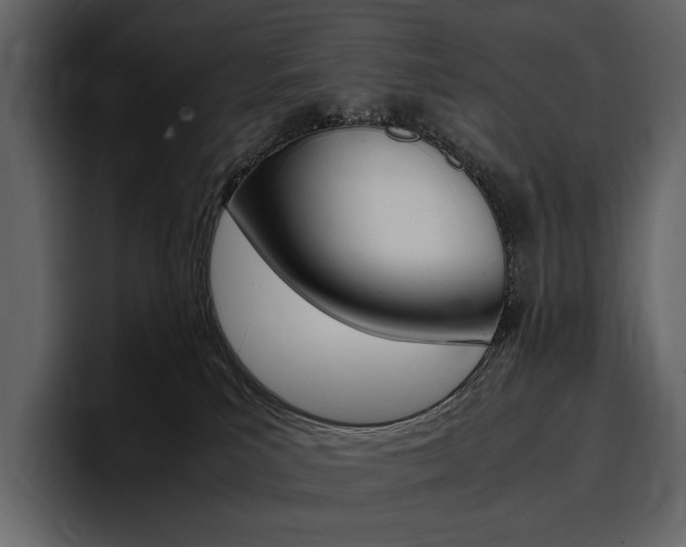 X0000097480039200802220829