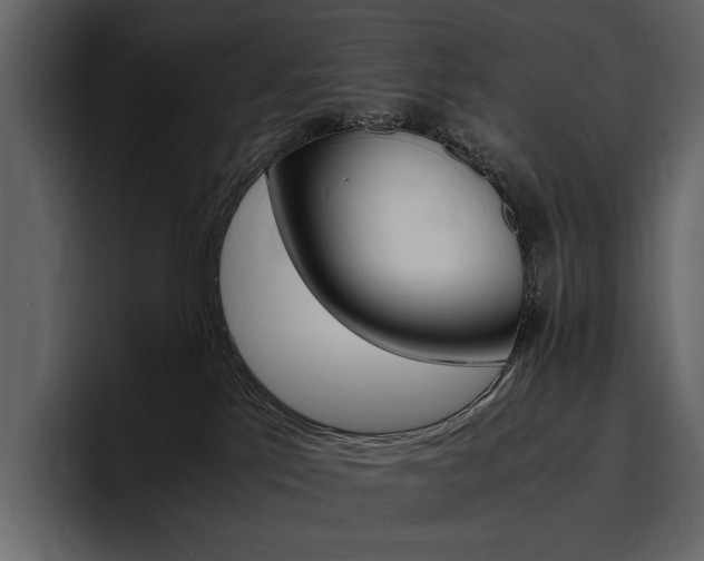 X0000097480041200802220829