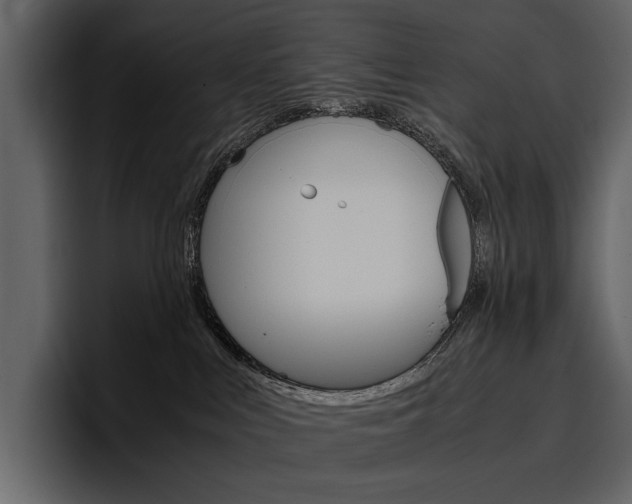 X0000097480043200802220829