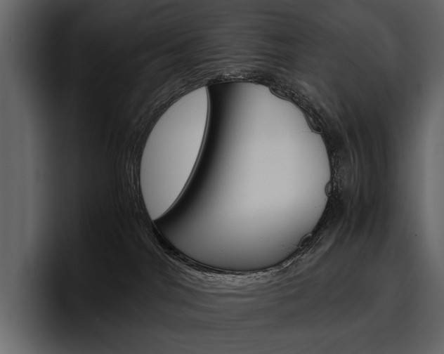 X0000097480044200802220829