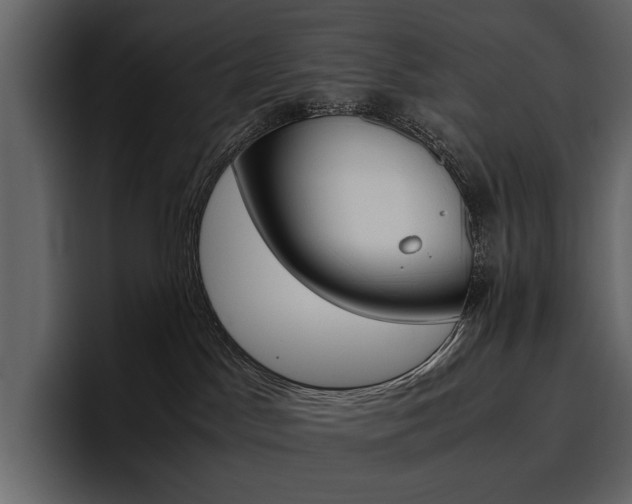 X0000097480045200802220829