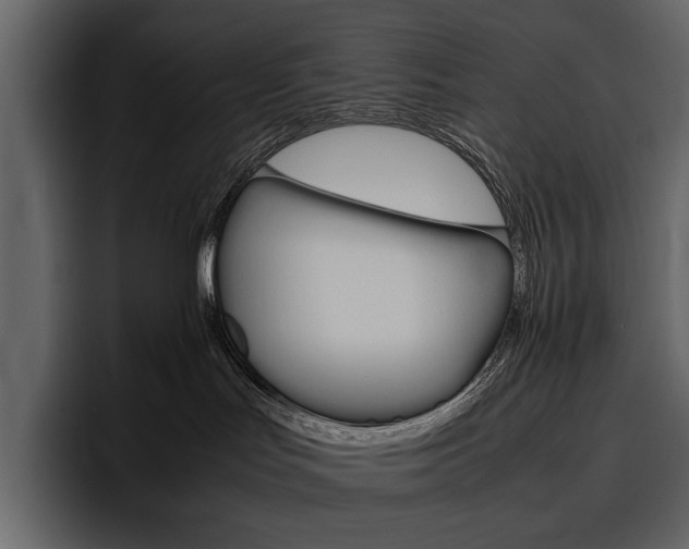 X0000097480047200802220829