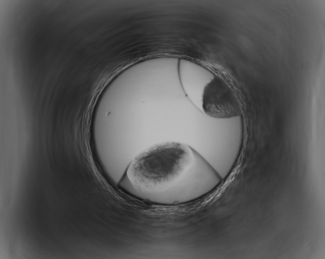 X0000097480049200802220828