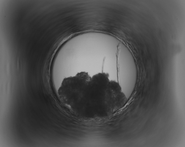 X0000097480050200802220828
