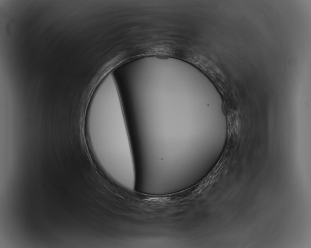 X0000097480051200802220828