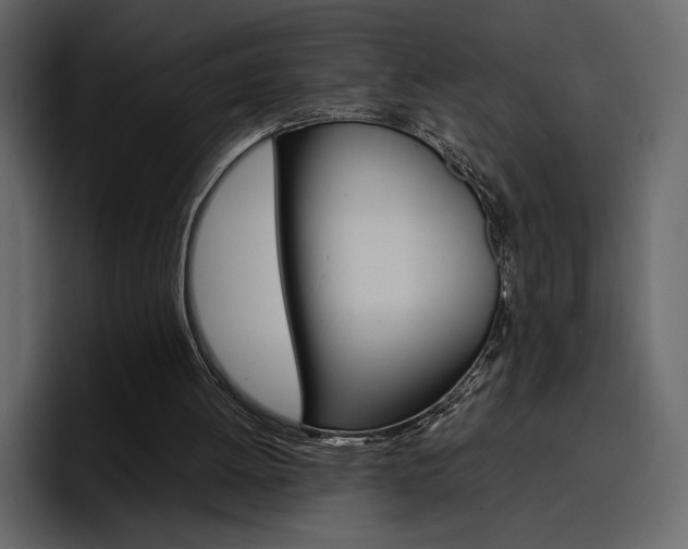 X0000097480052200802220829