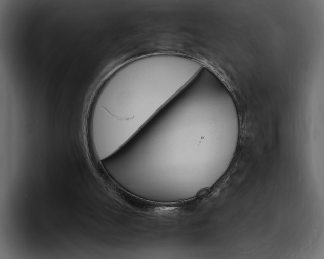 X0000097480055200802220829