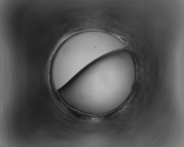 X0000097480056200802220829