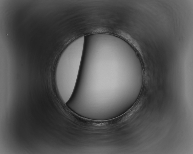 X0000097480057200802220829