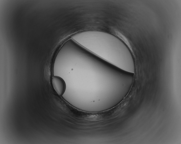 X0000097480059200802220829