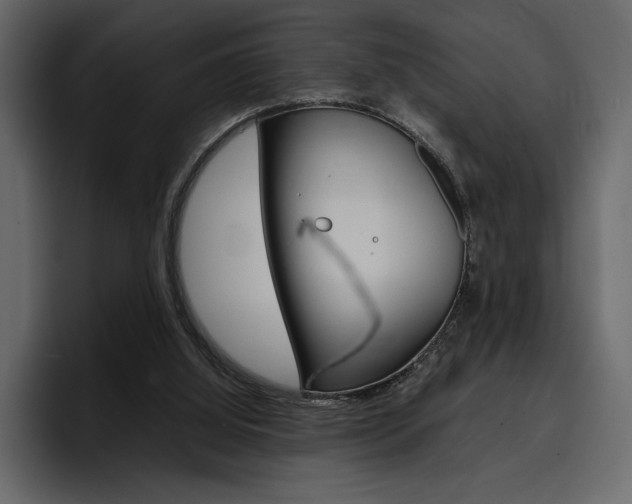 X0000097480060200802220829