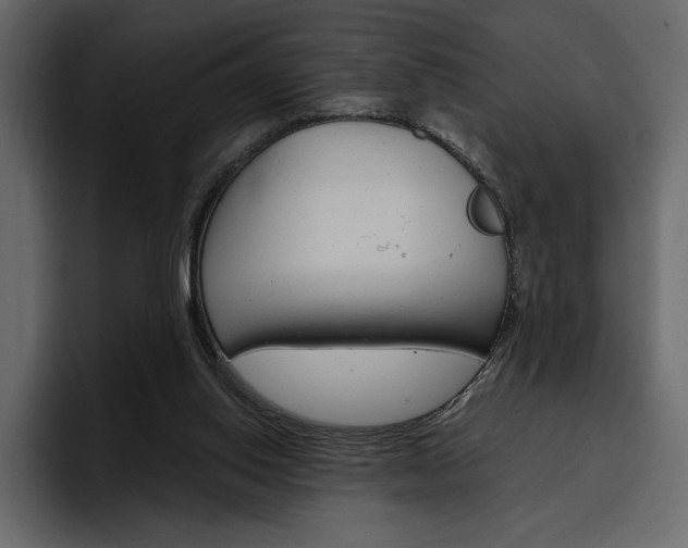 X0000097480062200802220829