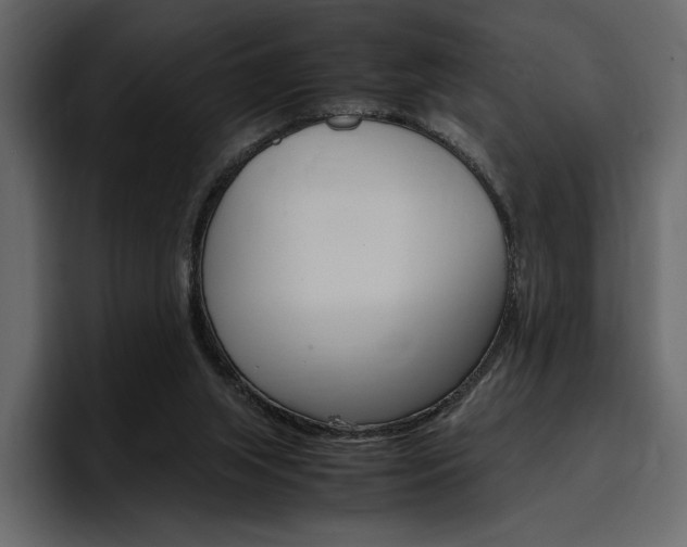 X0000097480063200802220829