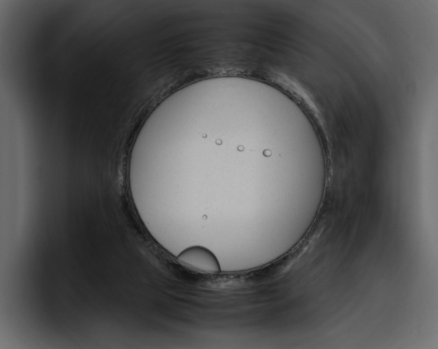 X0000097480065200802220829