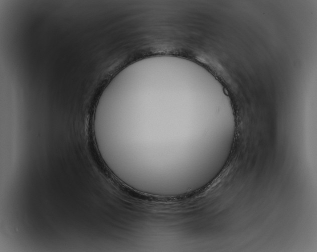 X0000097480066200802220829
