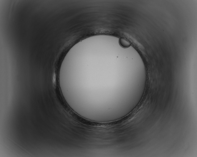 X0000097480067200802220829