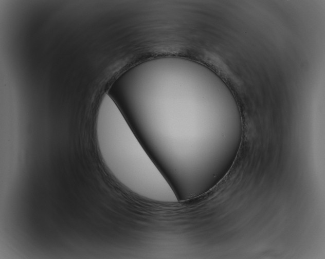 X0000097480068200802220829