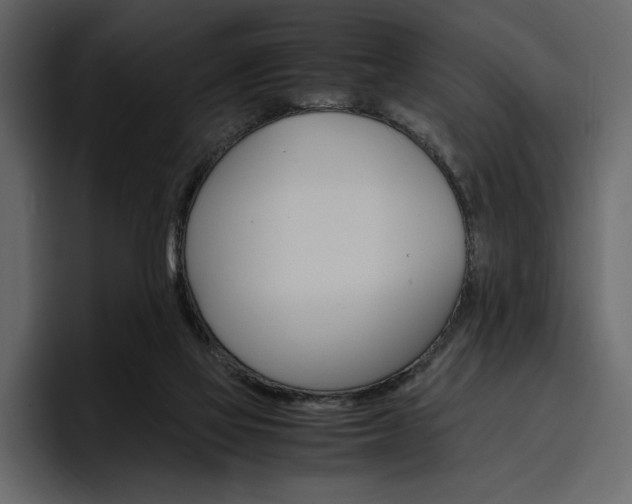 X0000097480069200802220829