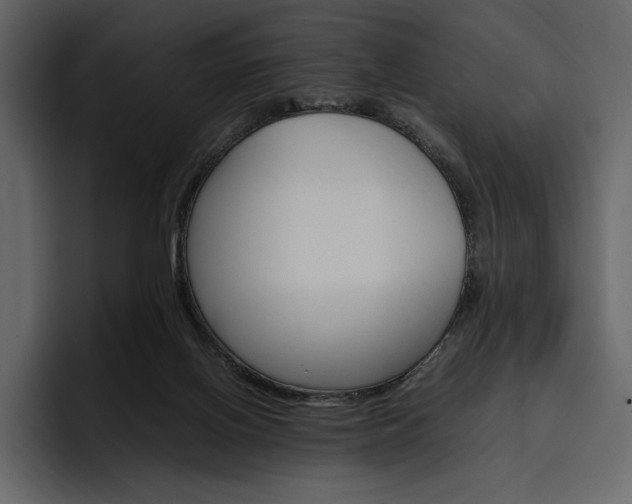 X0000097480070200802220829