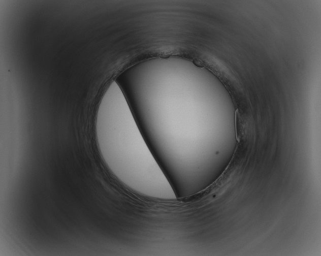 X0000097480072200802220829