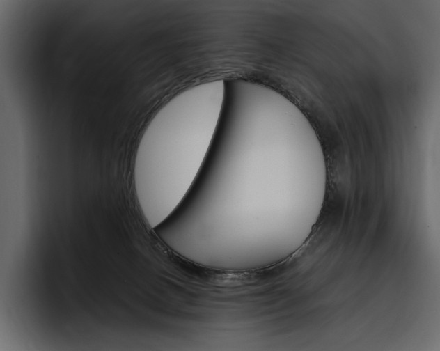 X0000097480082200802220829
