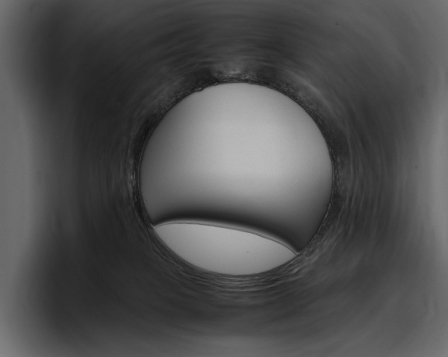 X0000097480085200802220829