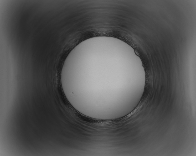 X0000097480086200802220829