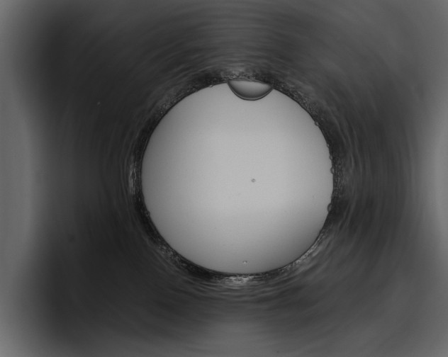 X0000097480090200802220829