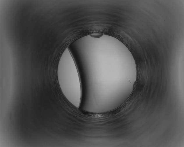 X0000097480091200802220829