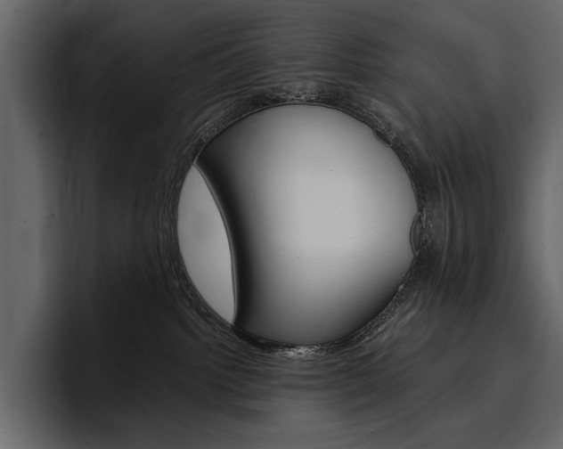 X0000097480092200802220829