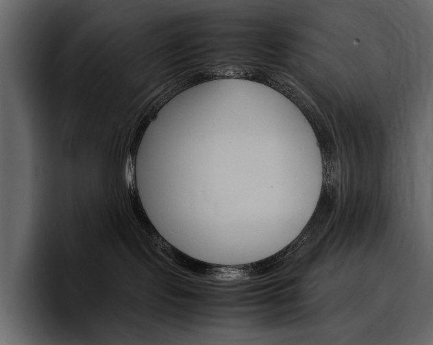 X0000097480095200802220829