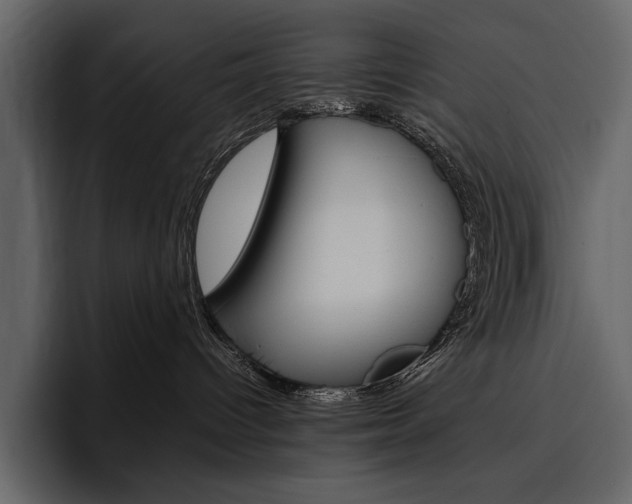 X0000097480096200802220829