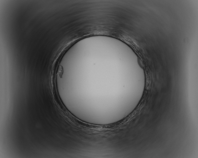 X0000097480098200802220828