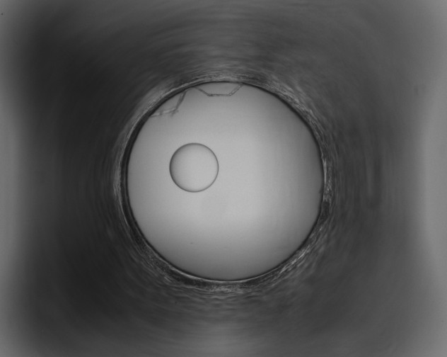 X0000097480099200802220828
