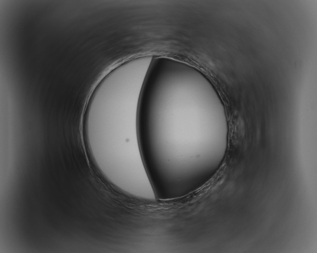 X0000097480100200802220828