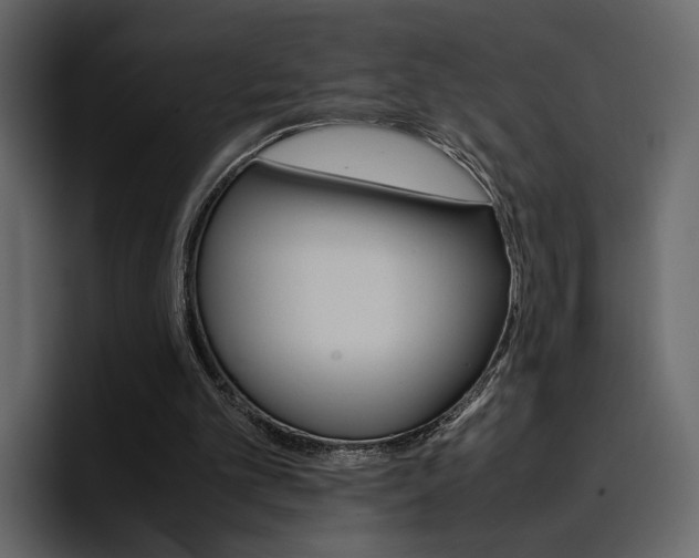 X0000097480101200802220828