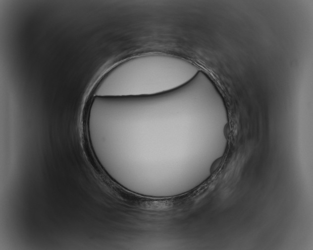 X0000097480102200802220828