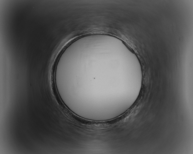 X0000097480103200802220828
