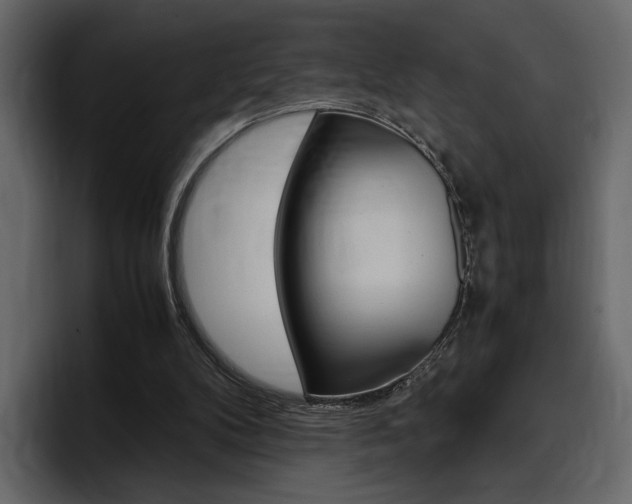 X0000097480104200802220828