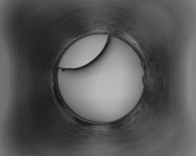 X0000097480106200802220828