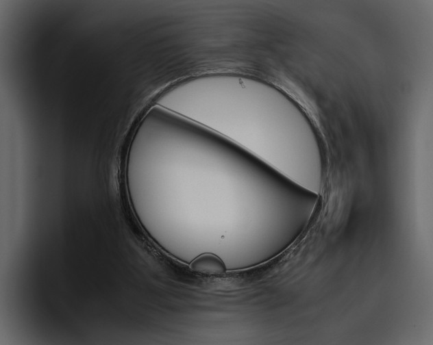X0000097480107200802220828