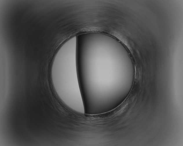 X0000097480109200802220828