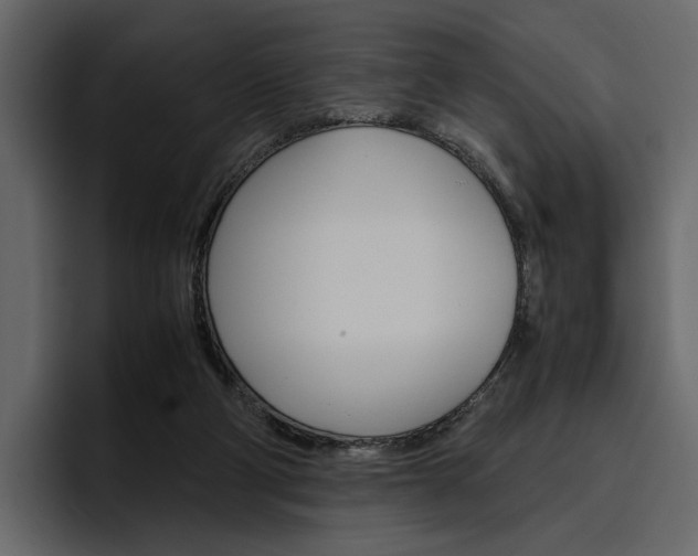 X0000097480114200802220828